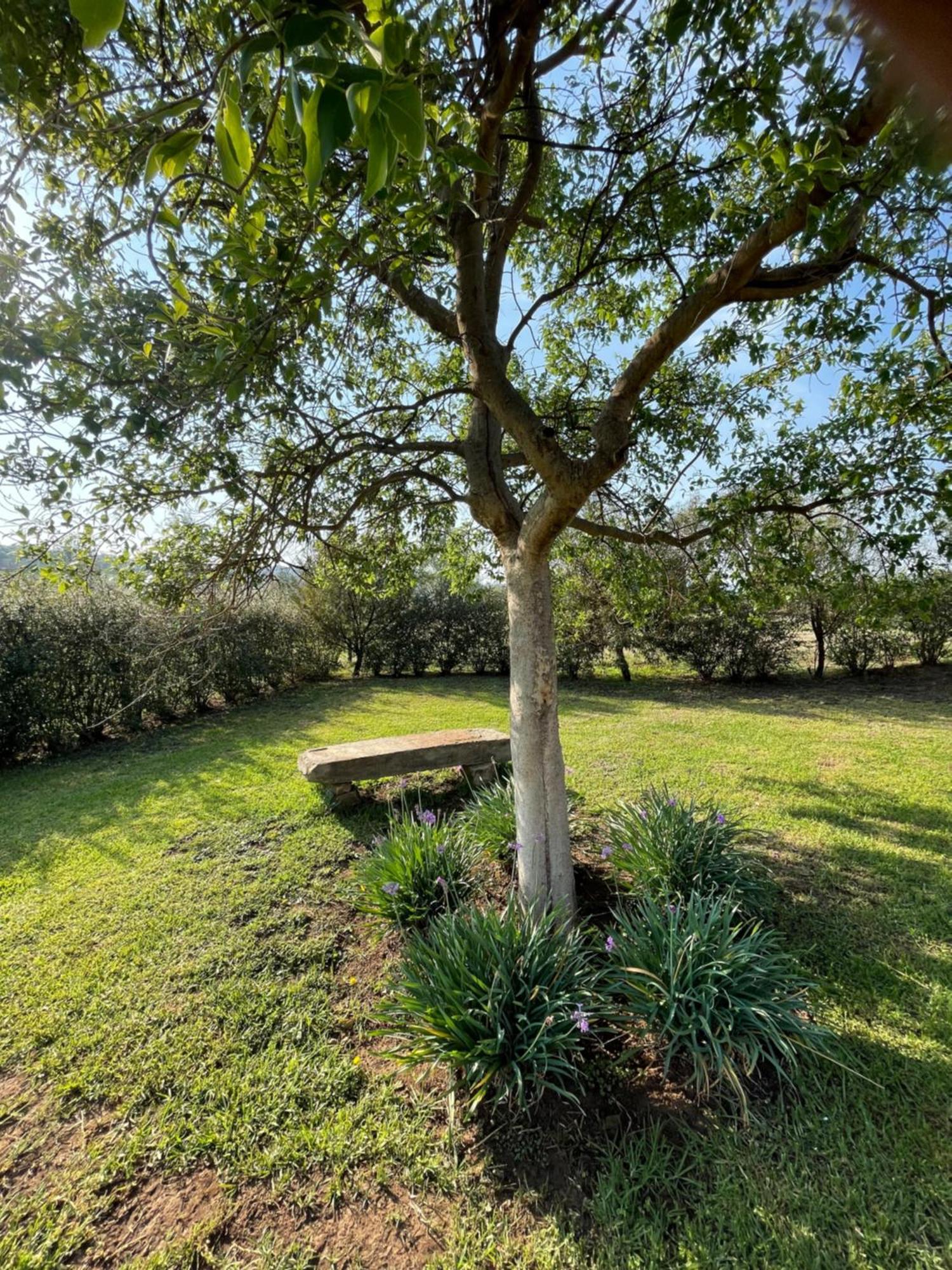 Tugela River Lodge Winterton Ngoại thất bức ảnh